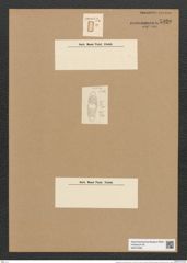 Plagiogramma decussatum Grev. (de-Toni-Nr.: Genus 83, Species 2929) Zeichnungen Sammlung Grunow Nr. 5920 (NHMW-BOT-W0374384)
